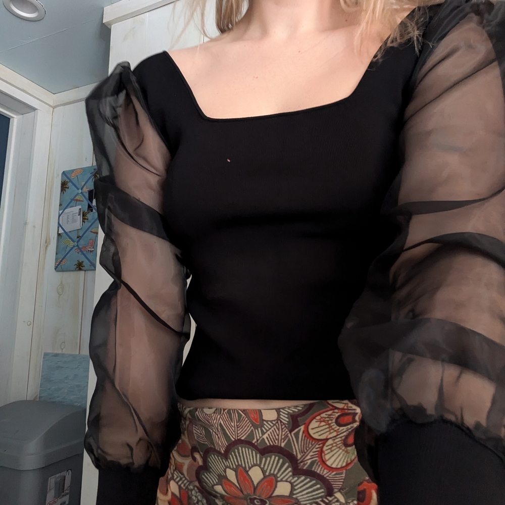 Black Sheer Sleeve Top